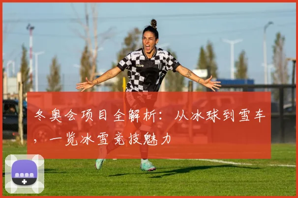 冬奥会项目全解析:从冰球到雪车,一览冰雪竞技魅力
